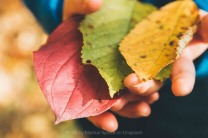 Outdoor-classroom-day