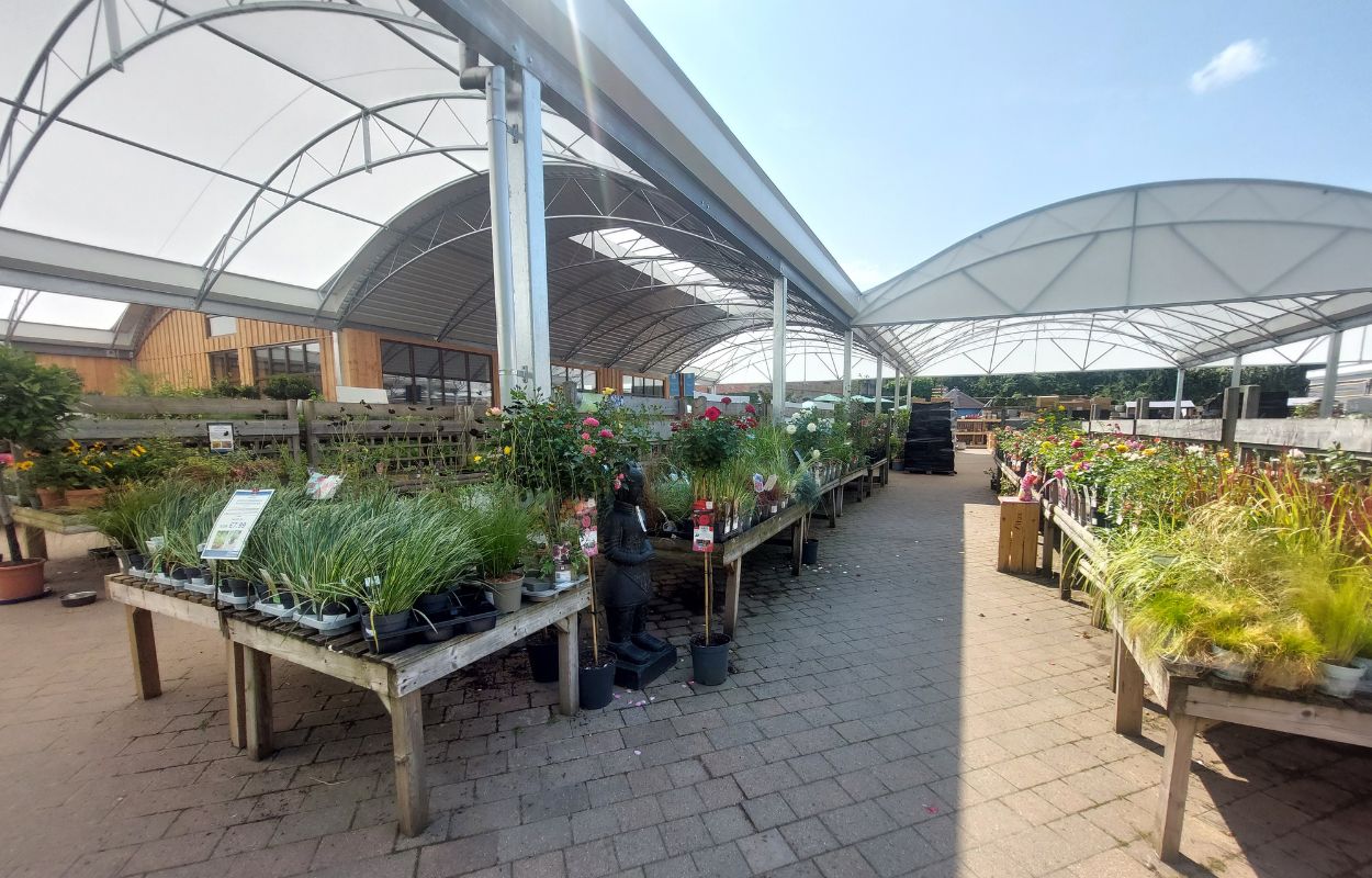 Trowell Garden Centre, Nottingham
