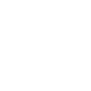 Picture of Bailey