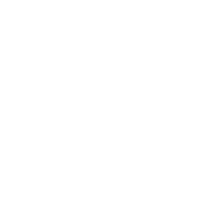 Picture of Liecester