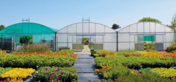 Picture of Polyhouses and polytunnels