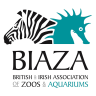 biaza