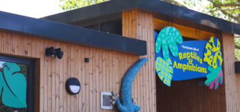 Picture of Buildings and canopies for Zoos & Attractions