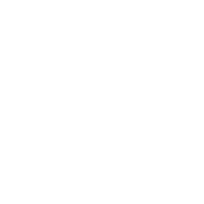 Picture of ZSL