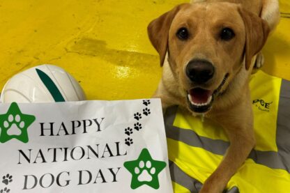 Bugsy the office dog sitting by a National Dog Day sign
