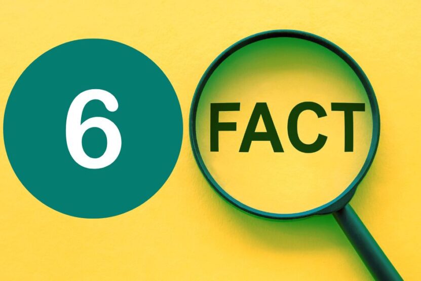 Image shows a graphic on a yellow background with the number 6 and teh word fact