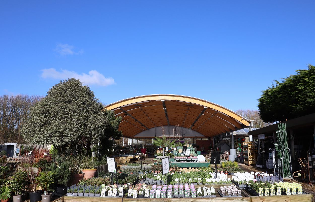 Groves Garden Centre, Bridport