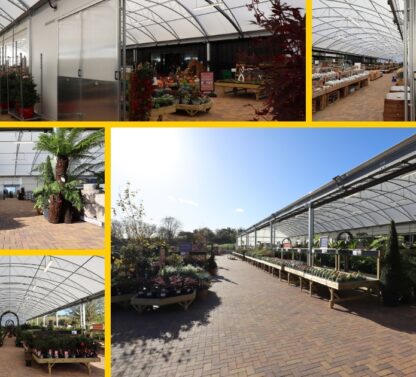 Picture shows various pictures shot at different angles showing the new extensive canopy at Perrywood Garden Centre.