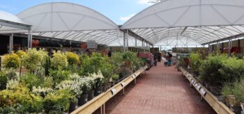 Picture of Mayberry Garden Centre, Sussex