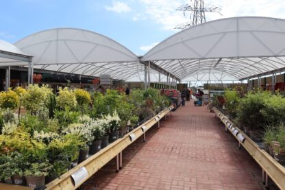 Twin-span garden centre canopy protecting outdoor plant displays and customer walkways year-round
